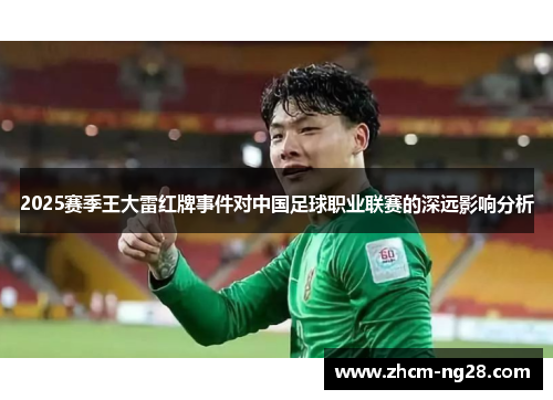 2025赛季王大雷红牌事件对中国足球职业联赛的深远影响分析
