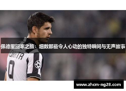 佩德里回家之旅：细数那些令人心动的独特瞬间与无声故事