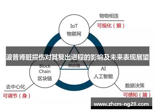波普肾脏损伤对其复出进程的影响及未来表现展望