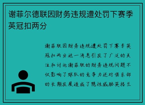谢菲尔德联因财务违规遭处罚下赛季英冠扣两分